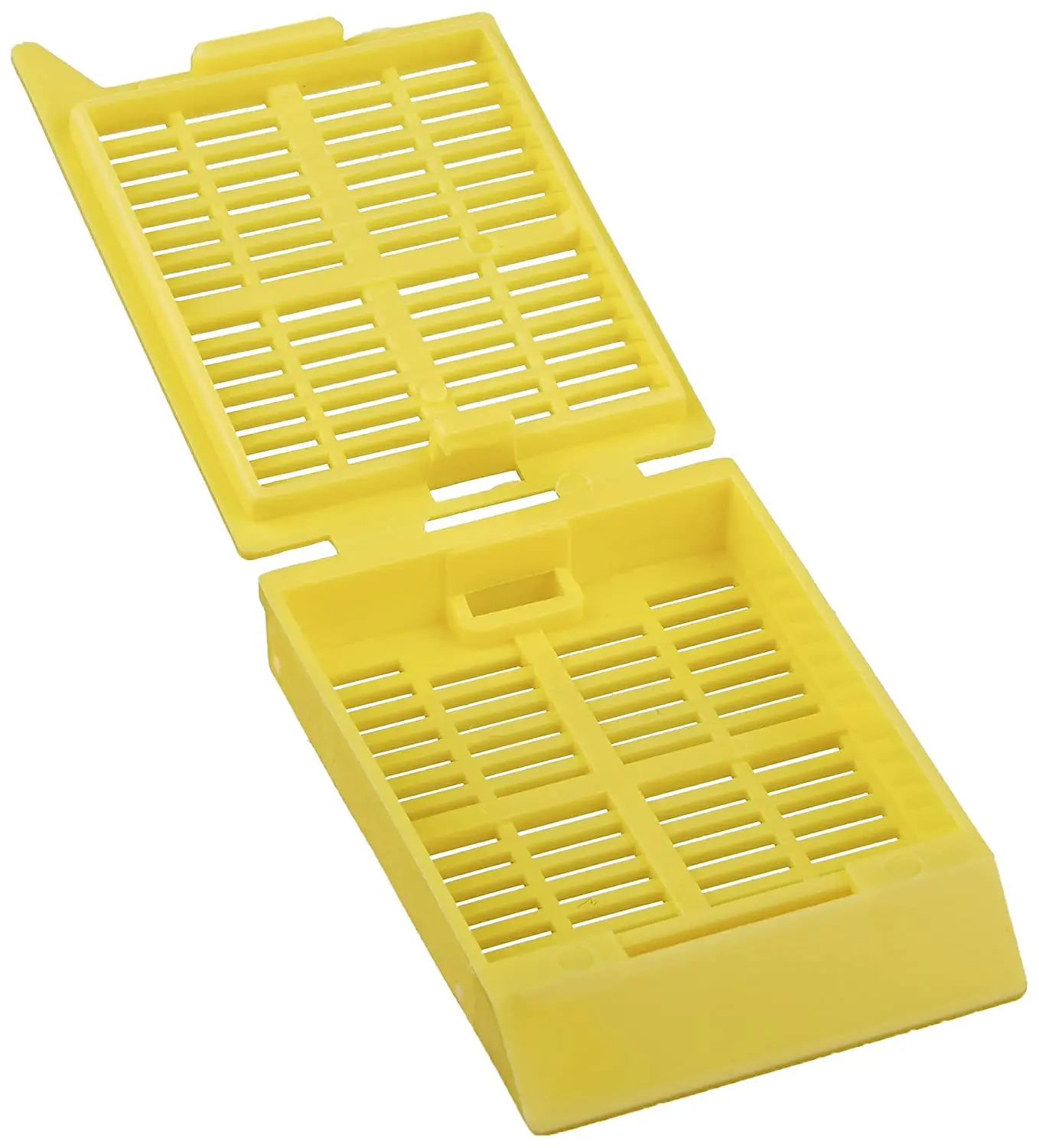 High Quality Laboratory Disposable Process Plastic Tissue Embedding Cassette for Histology