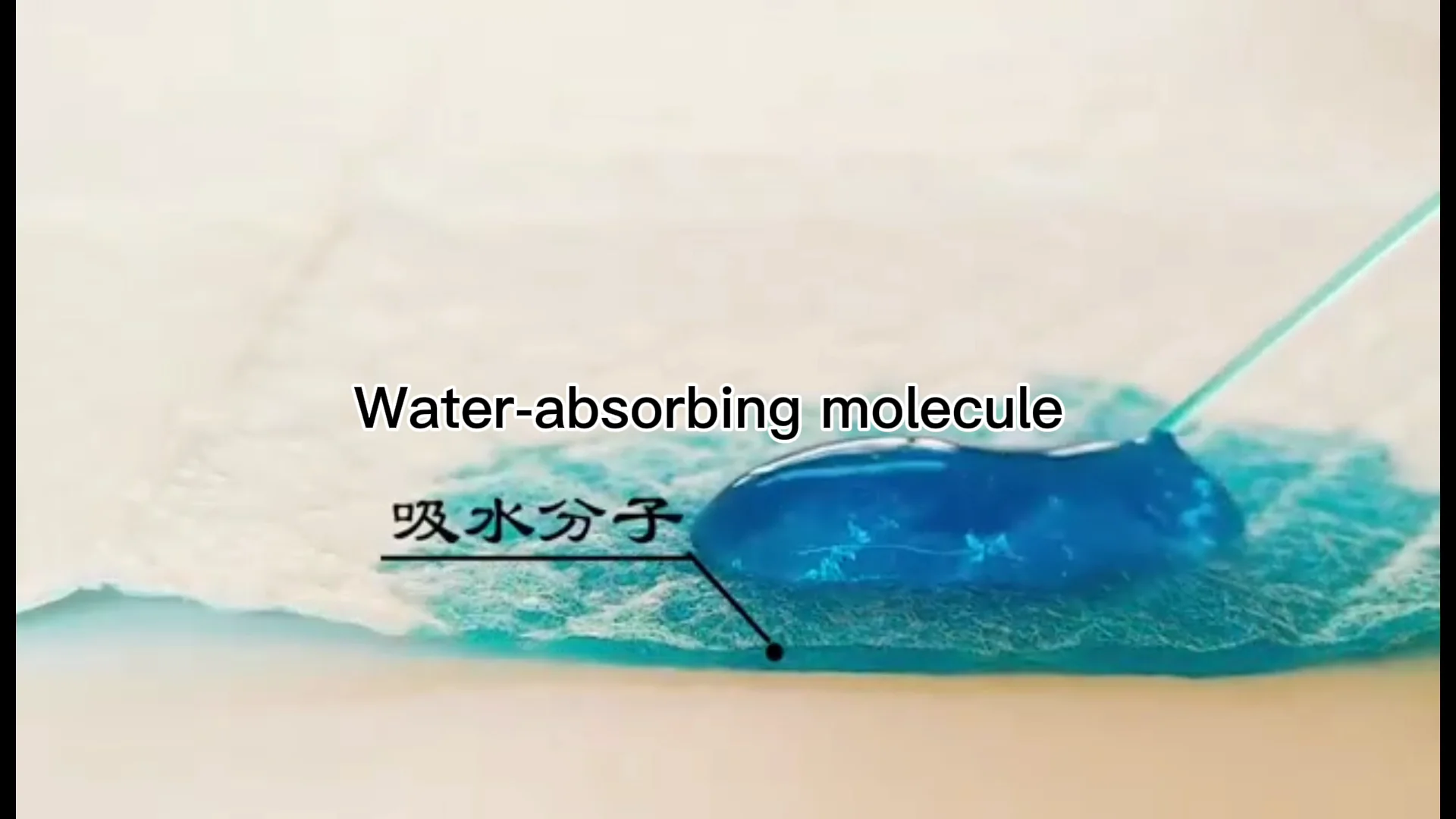 Disposable Absorbent Leakproof Dog Pee Training Pads Pet Training