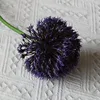 Pourpre