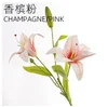 Rosa champagne