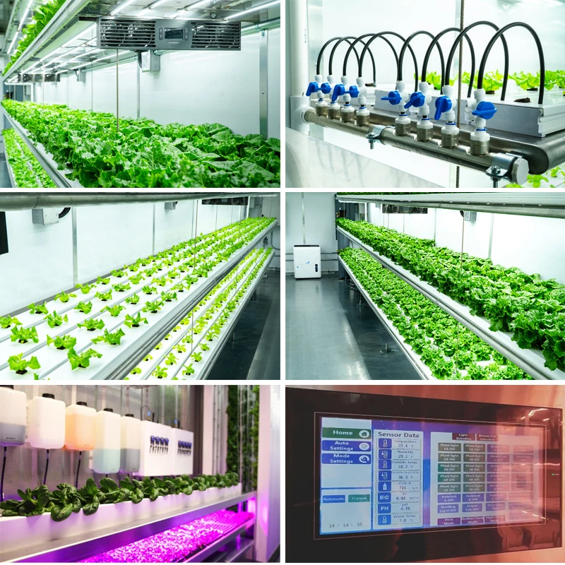 Greenday Microgreen Container Grow Smart Farms Vertical Hydroponic