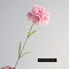rosa claro