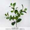 WS-3 Forked Bean Leaf