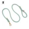 Laisse vert sauge : 150 cm