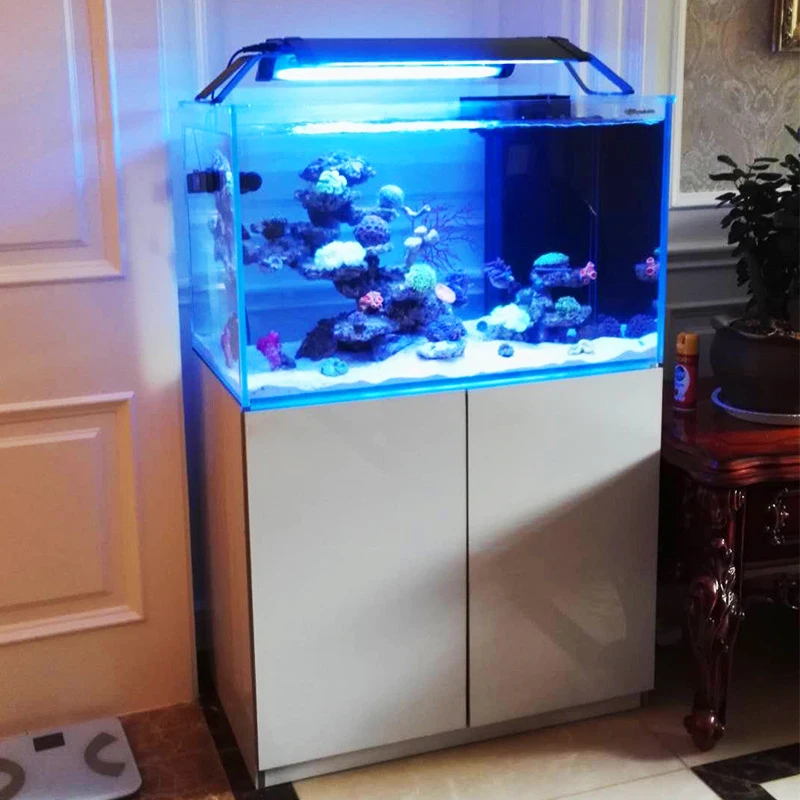 Custom Ultra Clear Glass Large Salt Water Aquarium Fish Tank Marine