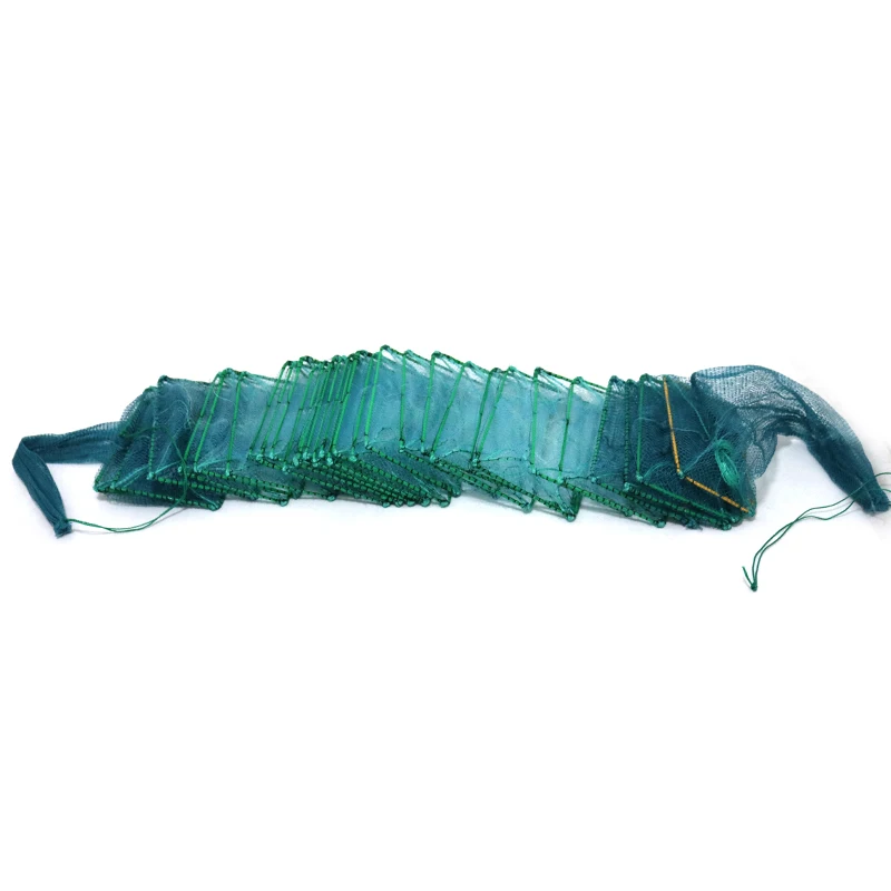 dragon net fish Fingered Dragonet Scooter Dragonet Care (Synchiropus ocellatus)