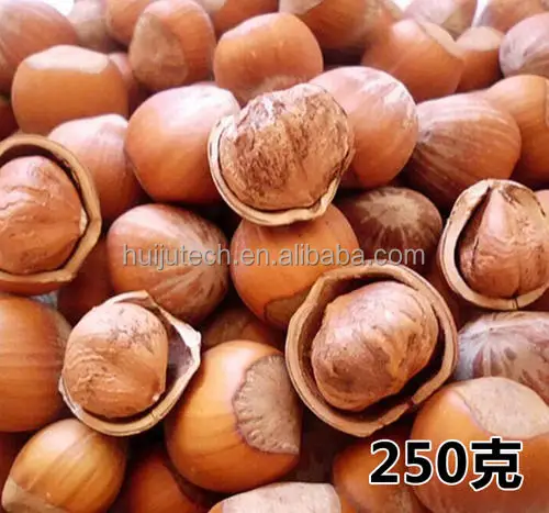 Hard Nuts Shell Removing Sheller Apricot Shelling Cracker Peach Cracking Machine for Almond Walnut Hazelnut Palm Kernel