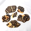 Septarian