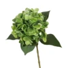 Green 8