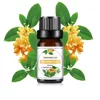 Aceite Esencial de Aromaterapia de Osmanthus 10ML