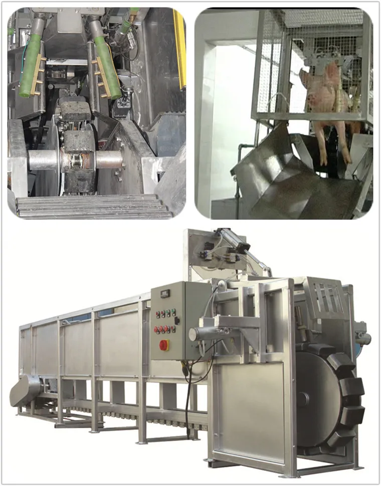 Slaughterhouse equipment pig machine for slaughterhouse