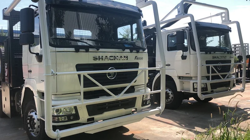 Cost effective max speed 105km/h strong power 385HP 6 cylinders 12 speed manual gearbox lhd cargo truck