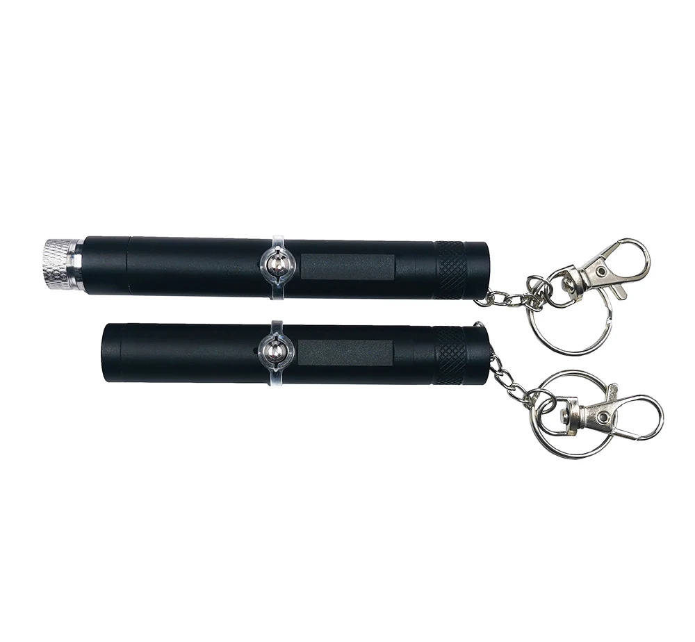 Portable 501USB Mini Handheld USB Interface Green Red Laser Pointer with Keychain