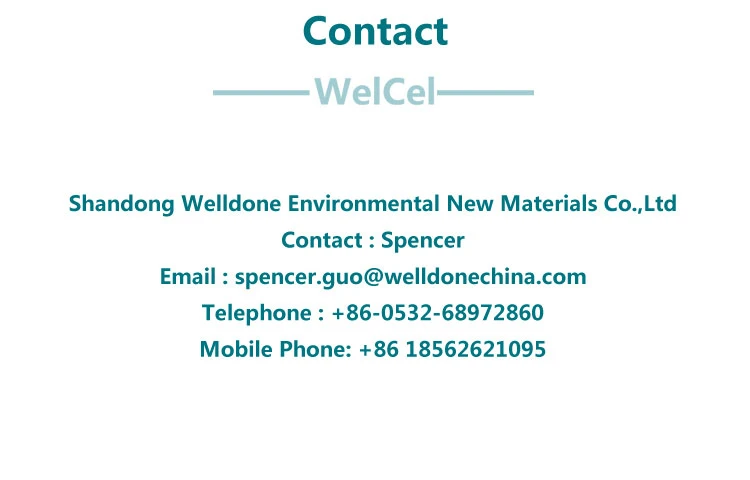 WELLDONE Hemc/Hec/Hpmc Hydroxy Ethyl Cellulose Hec 100000 Hydroxyethylcellulose Hec for Paint