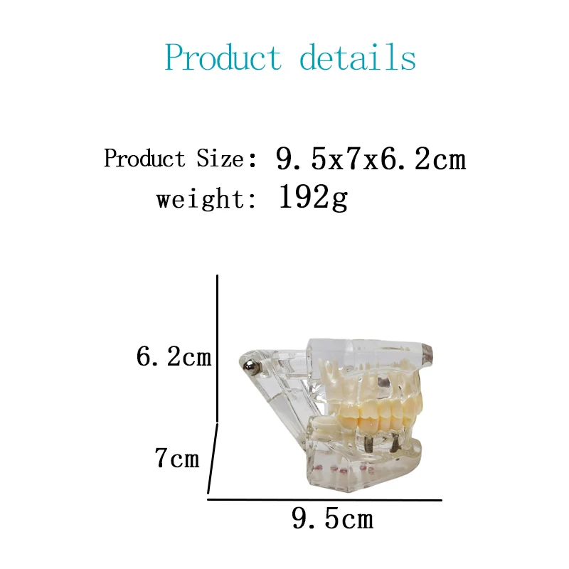 Прозрачная модель зубов для коррекции полости рта съемный имплантат дисплей ногтей обучающая