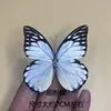 Mariposa Rosa-spreated