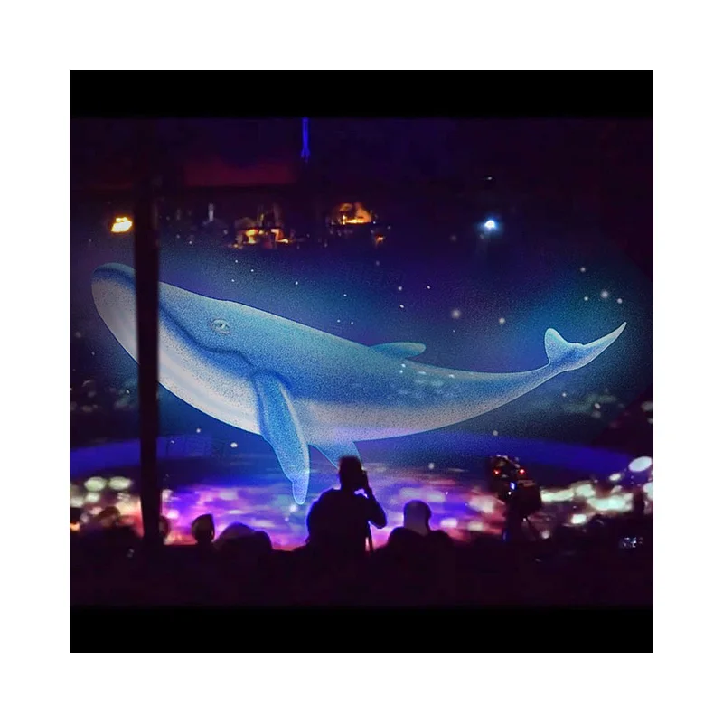 3D Holographic High Transparent Invisible Stage Mesh Screen for Hologram Projection Big Stage Show