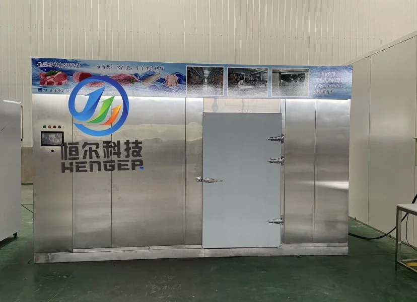 Direct Selling Defrost Machine Frozen Meat Thawing Machine Tuna Defrosting Machine