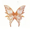 Orange #07