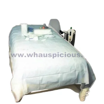 High Quality Waterproof Disposable Bed Sheet Non-Sterilized PP Non-Woven for SPA & Medical Use Premium Medical Consumable