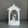 White hole angel