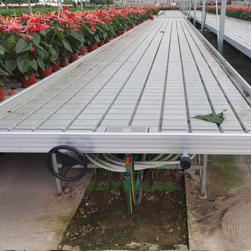 Greenhouse Rolling Benches Rolling Benches & Grow Tables