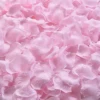 rose 2