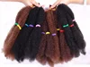 ombre Braids Hair