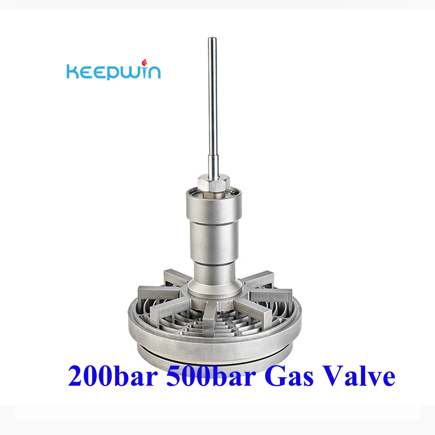 Special Customize Compressor Maintenance Gas Valve Piston Ring Spring Valves