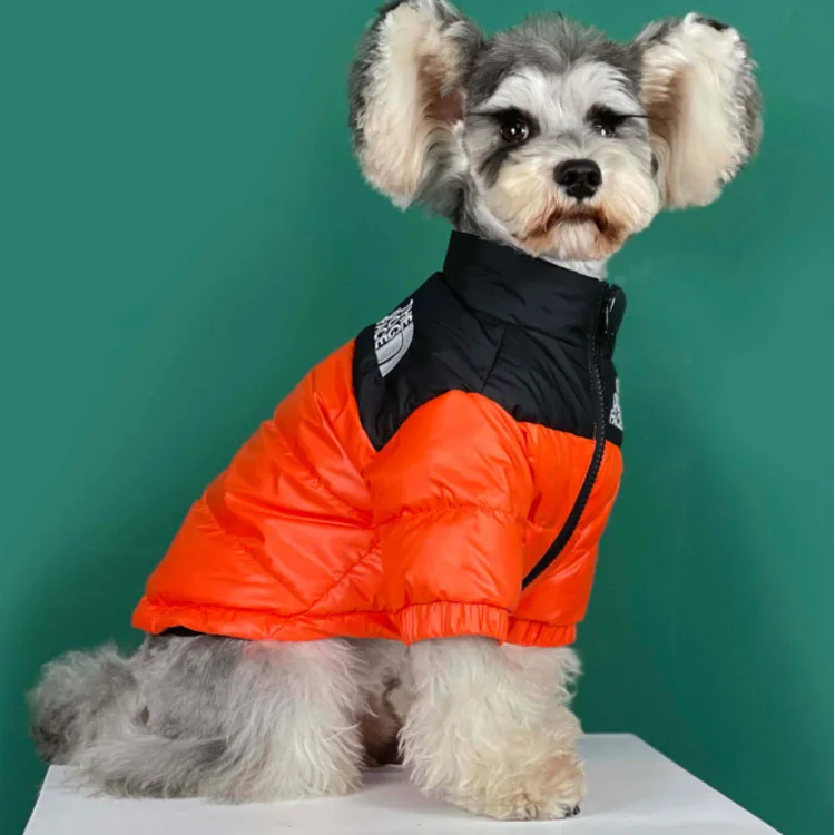 Luxury Brand Design Padded Winter Thicken The Dog Face Winter Warm Pet ...