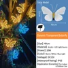 Dynamic Transparent - Solar - 40CM