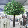 Manzana tree2
