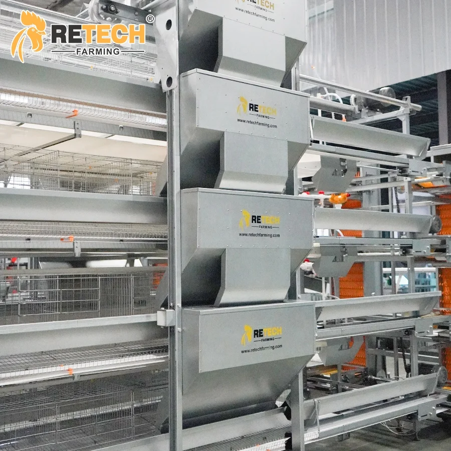 Automatic H Type Poultry Cages for Layer Chickens for 50000 Birds