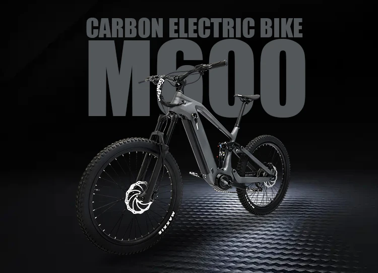 ebike bafang m600