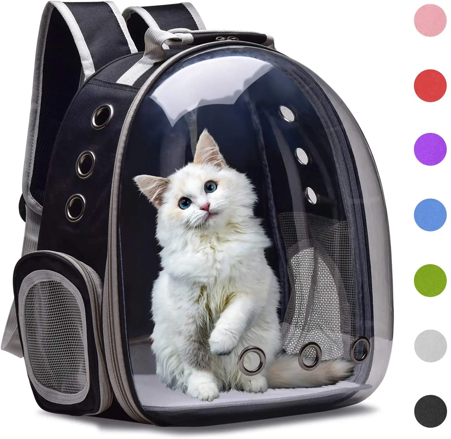 safest cat carrier