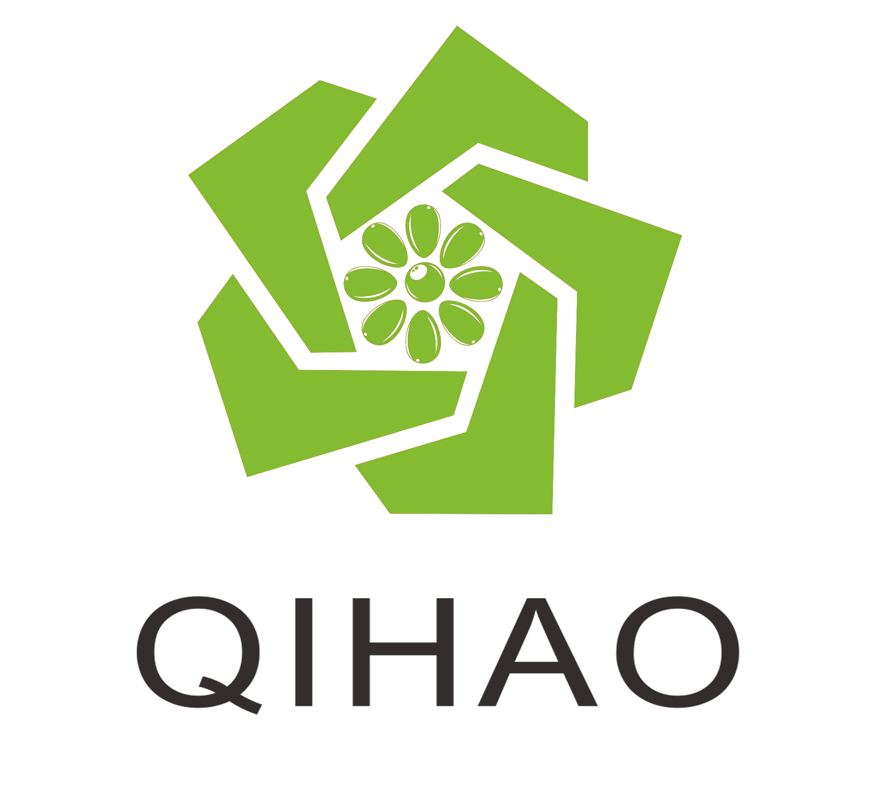 Hongkong QiHao International Co., Limited