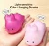 กระต่าย 1