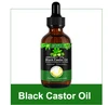 Black Castor