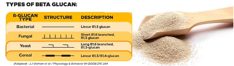 Maya Beta Glukan Maya Beta Glukan Tozu kozmetik hammaddeleri Fildişi Tozu 4