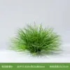 Grappes d'herbe b 25 cm de haut-35 herbes vert clair