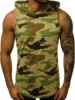 Camouflage green