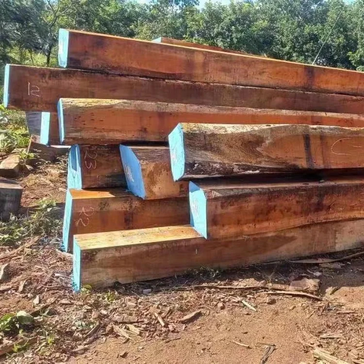 High Quality JATOBA Timber and the Best Price of Timber From South America