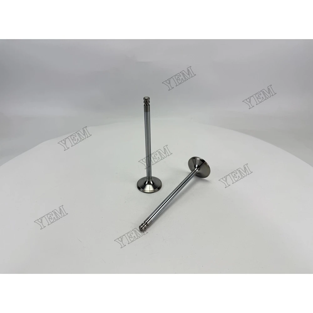 Factory Price TD640VE Intake Valve 3825723 2