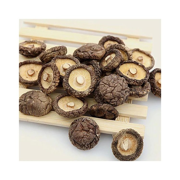 Оптовая продажа высококачественных грибов Shiitake в форме цельной формы толщиной 4-6 см