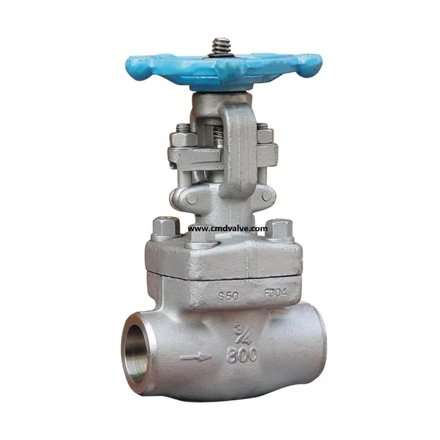 Api Class 800 Threaded Both Ends 1 2 3/4 Inch 304 316l Gate Valve - Buy ...