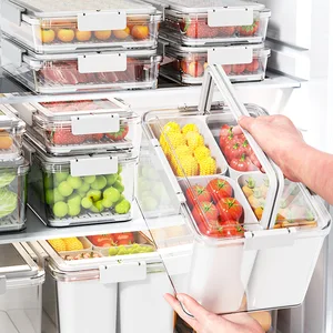 Portable PP Plastic Fruit Storage Box Freezer Safe Refrigerator Preservation Box for Food Storage and Preservation