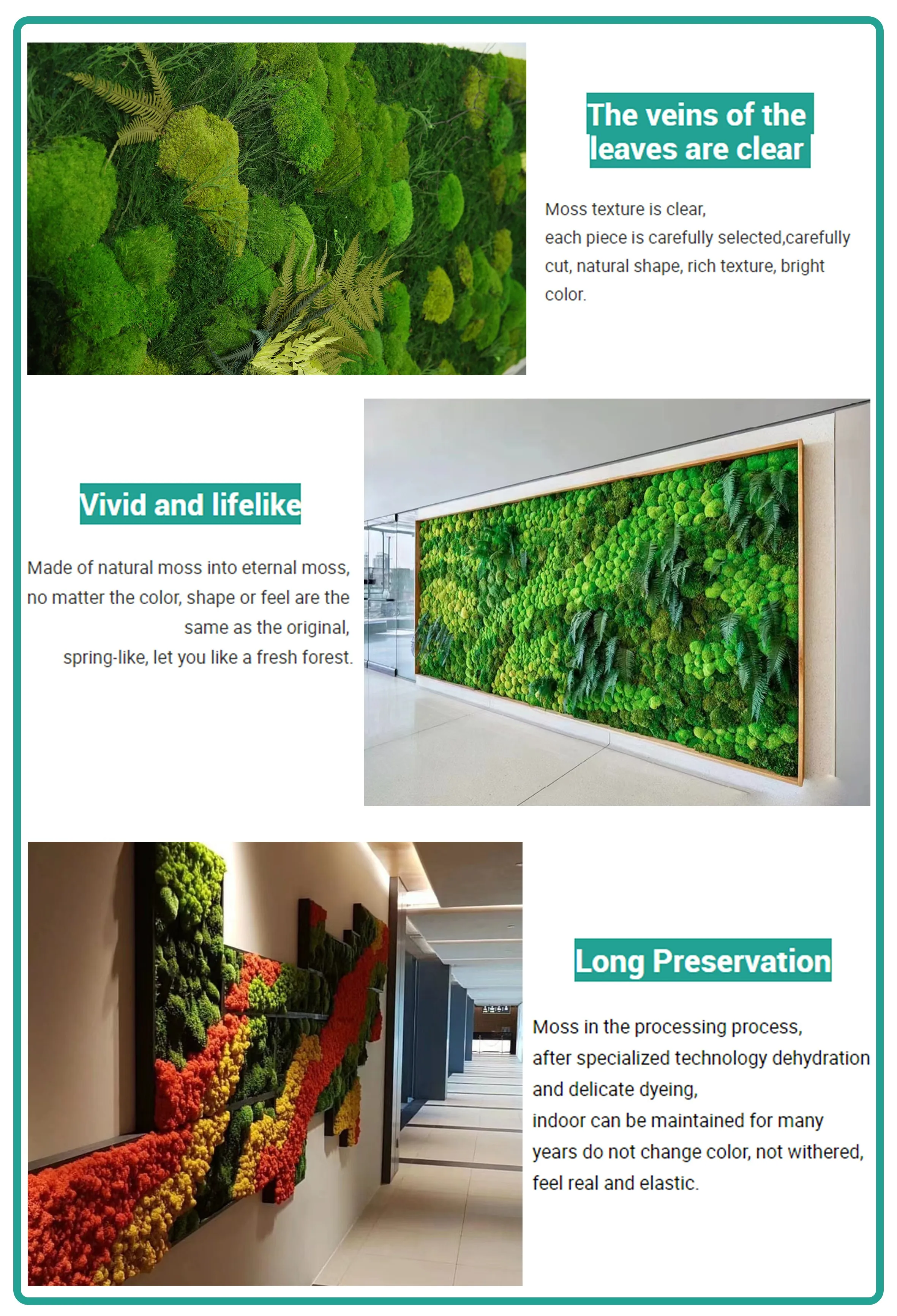 Wholesale Colorful Preserved Moss Panel - Eco-Friendly Wall Art for ...