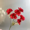 สีแดง