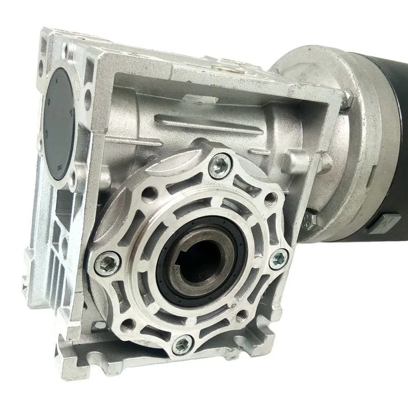 600W Permanent Magnet Electric DC Worm Motor 500Kg Capacity 400W-500W for Home Appliance Electric Bicycle & Fan