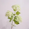 Film small snowball-white green